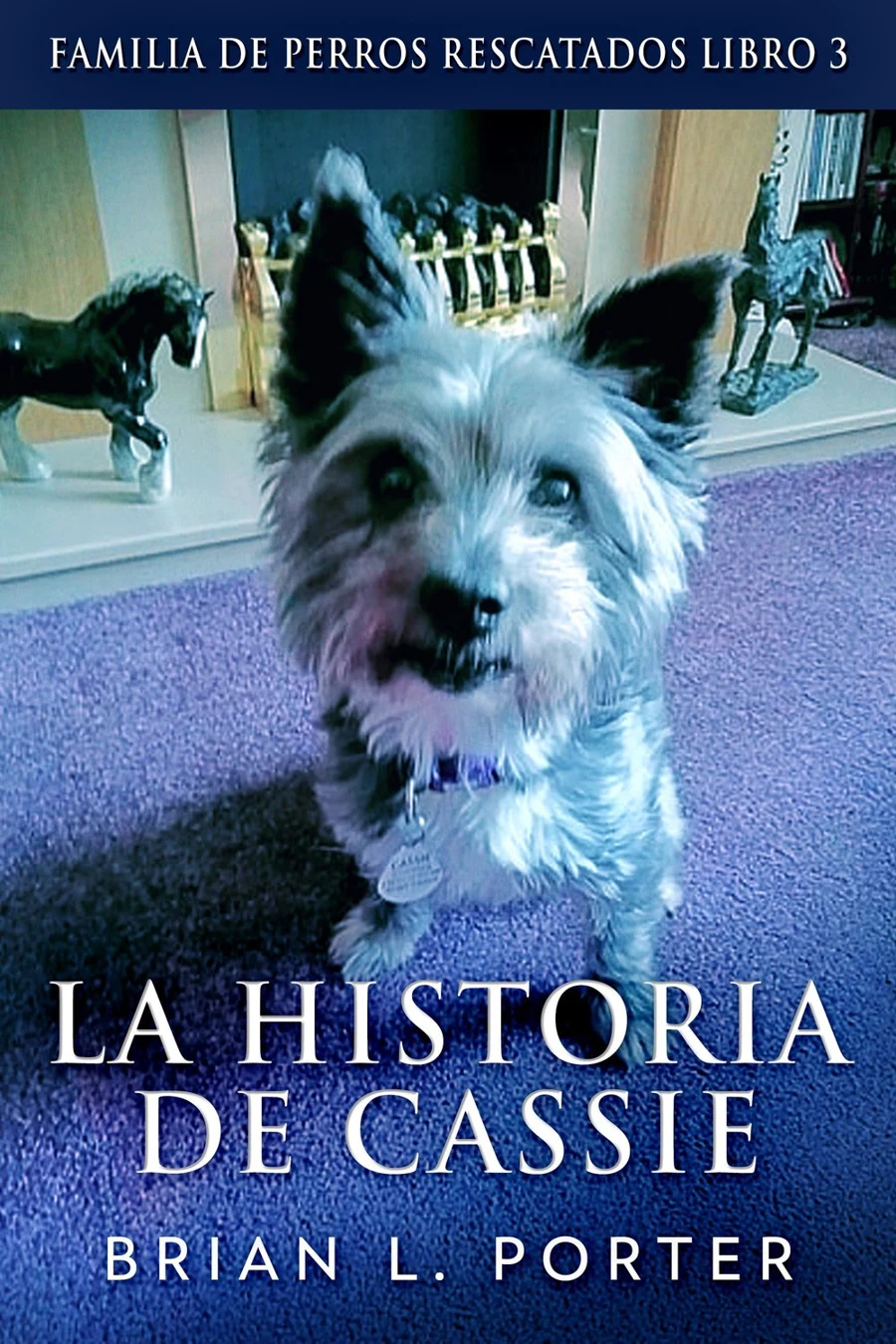La historia de Cassie cover