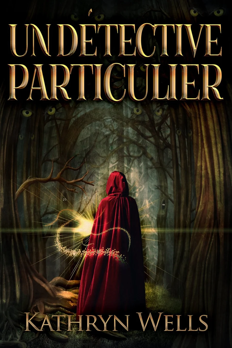 Un Détective Particulier cover