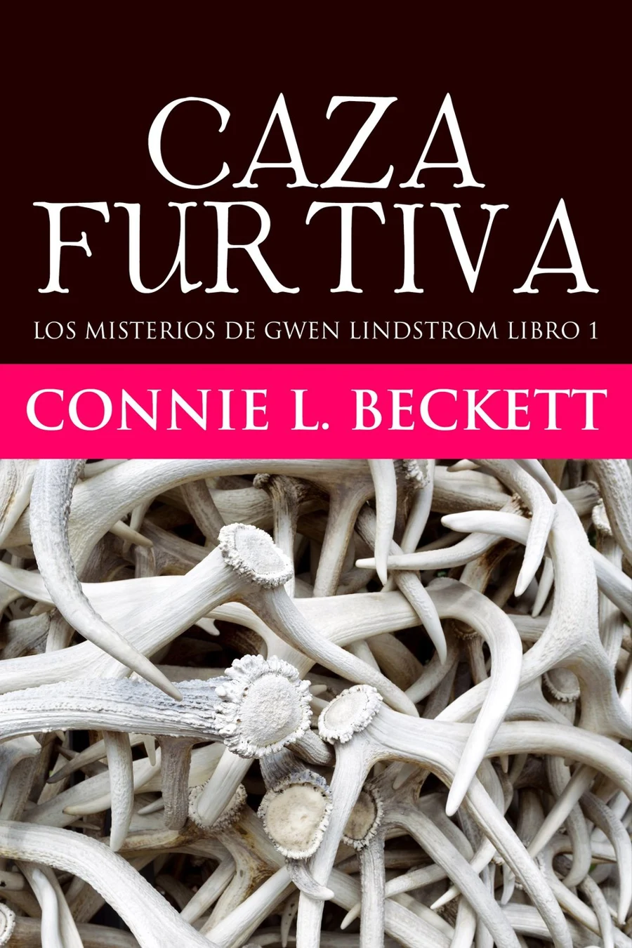 Caza Furtiva cover