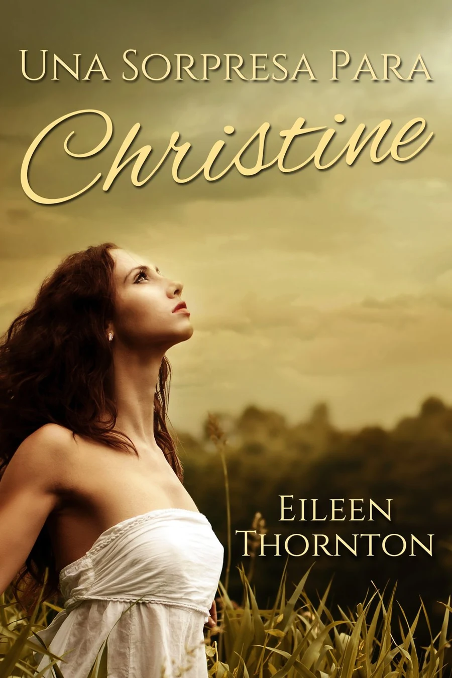 Una Sorpresa Para Christine cover
