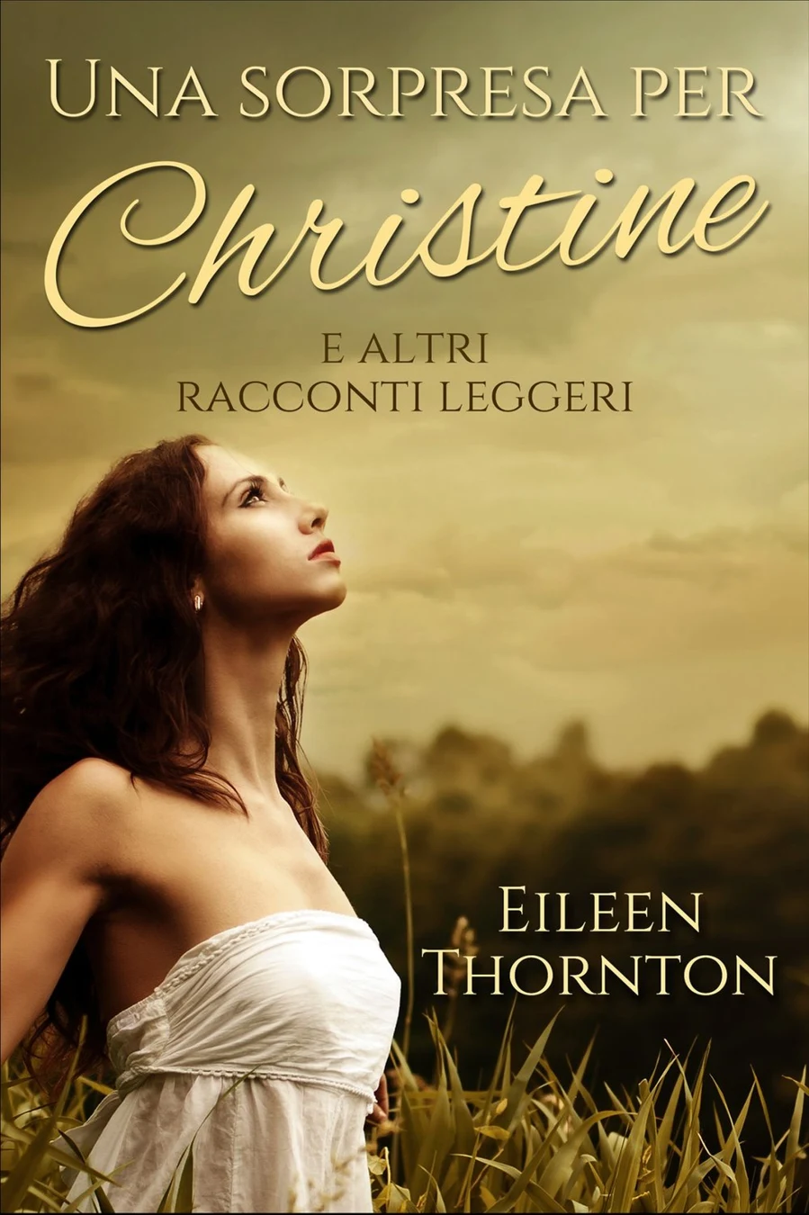 Una Sorpresa Per Christine cover