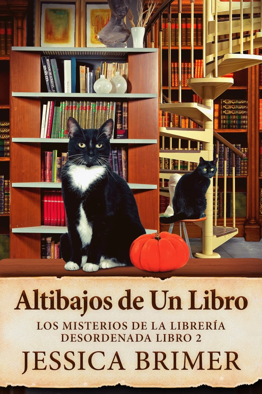 Altibajos de Un Libro cover