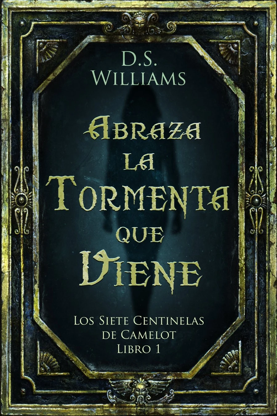 Abraza la Tormenta que Viene cover