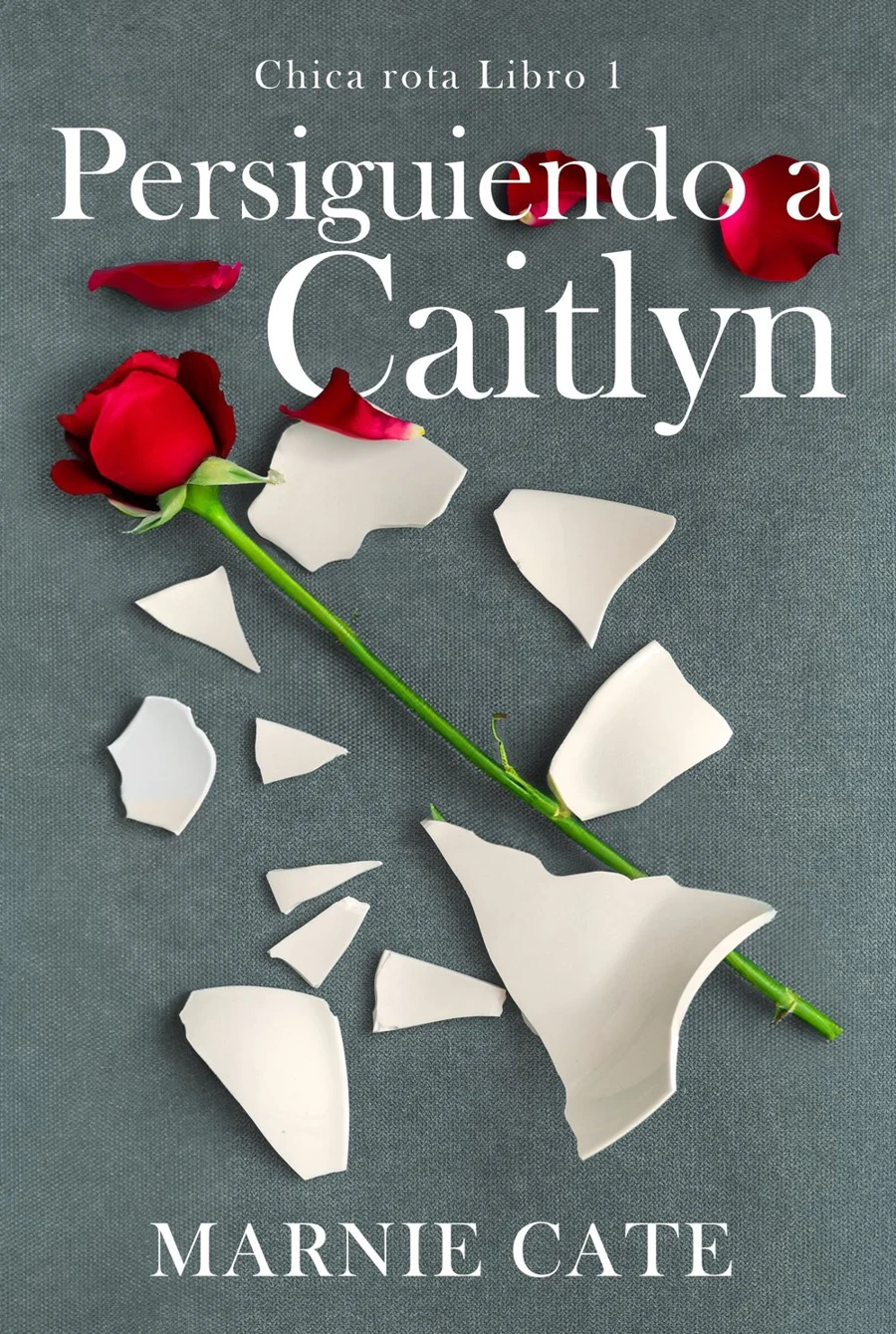 Persiguiendo a Caitlyn cover